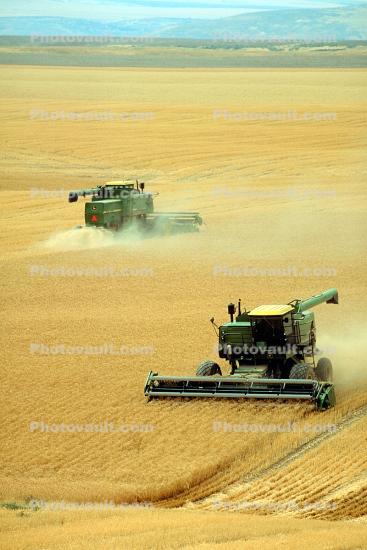Harvesting Wheat with Mechanized Combines, John Deere Turbo 6622 Combine, farmfield, wheat field, golden amber waves of grain, swather, windrower