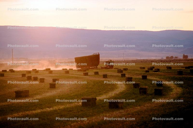 Hay Bales, Buncher, dust, late afternoon, hills, stacker, stack