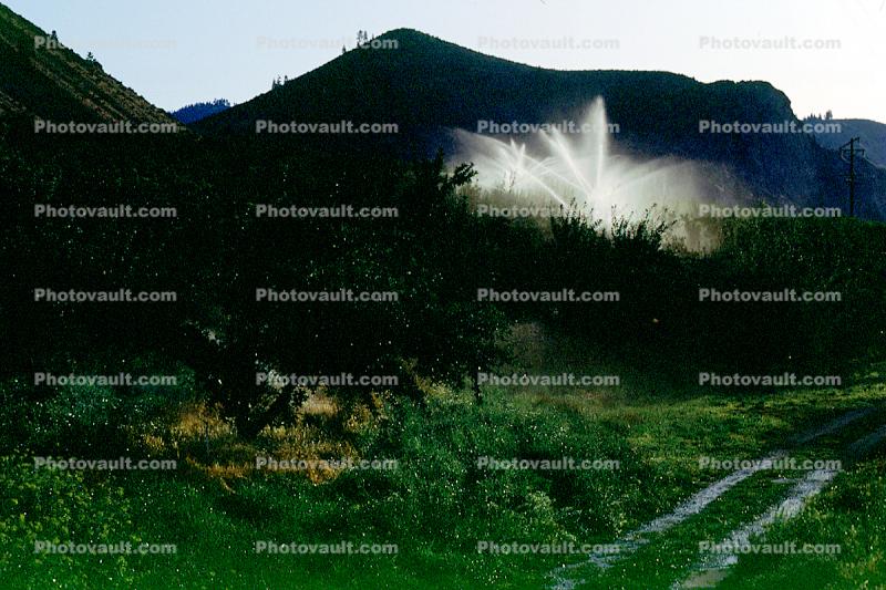 Irrigation, water, sprinkler, along the Columbia River