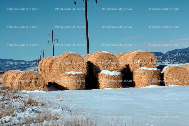 Round Bales of Hay, Colorado, stack