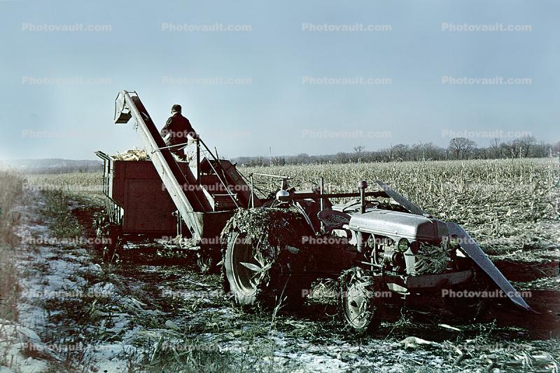 Old Tractor and Corn Harvester, Farmer, Cornfield, Corn, 1940s