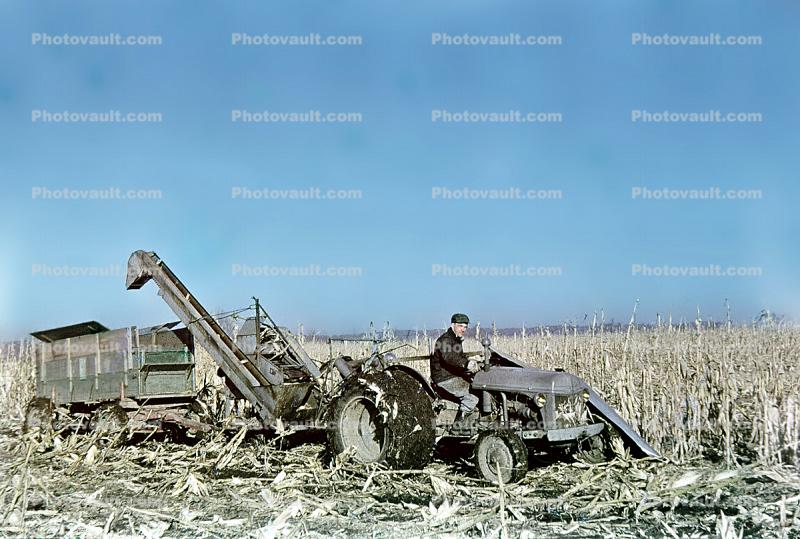 Old Tractor and Corn Harvester, Farmer, Cornfield, Corn, harvest, harvesting, 1940s