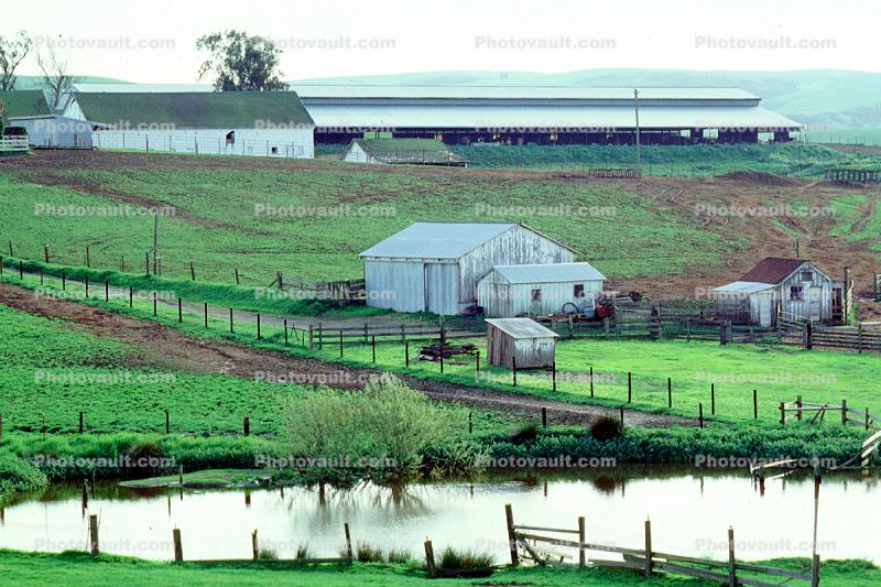 Shed, Barn, Fence, Pond, rural, building, architecture