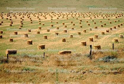 Bales of Hay, Square Bales, Dirt, soil