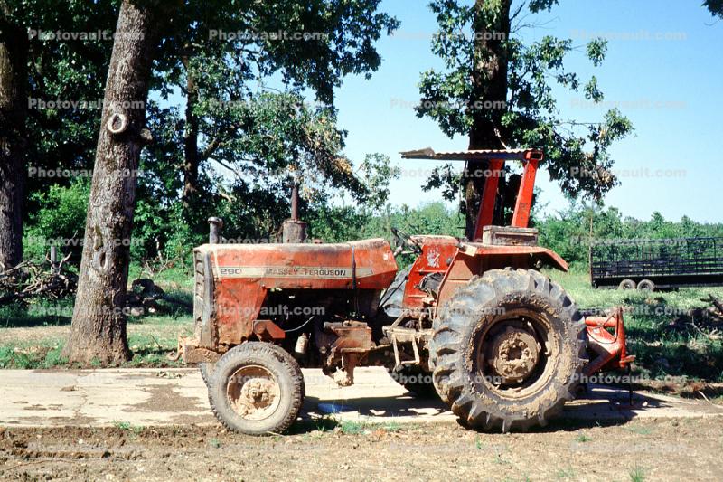 Massey Ferguson Tractor, Machine, Mechanized, Mechanization, 1950s