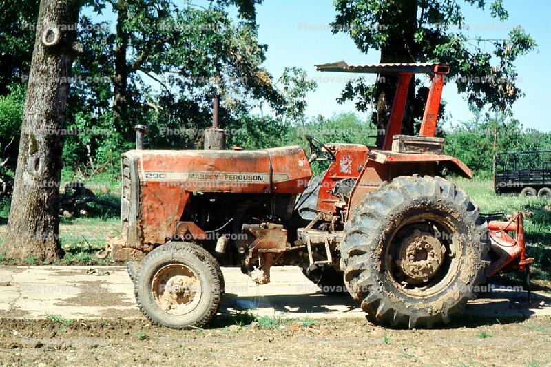 Massey Ferguson Tractor, Machine, Mechanized, Mechanization, Heavy Equipment, 1950s