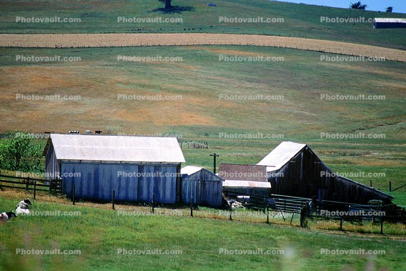Wooden Barn, Shed, Hills, rural, building, architecture