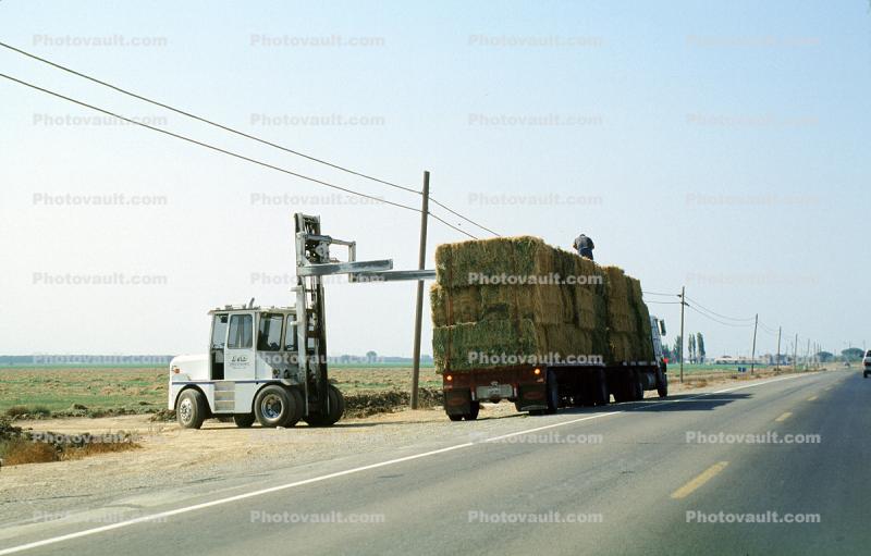 Hay Bales, Tractor, Forklift, Highway-33, City of Newman, Stanislaus County