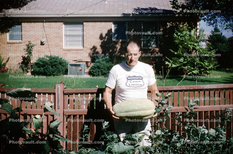 Man and his Squash Harvest, garden, fence, suburbia, house, home, building, lawn