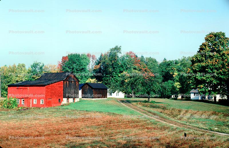 Barn in a field, Maine