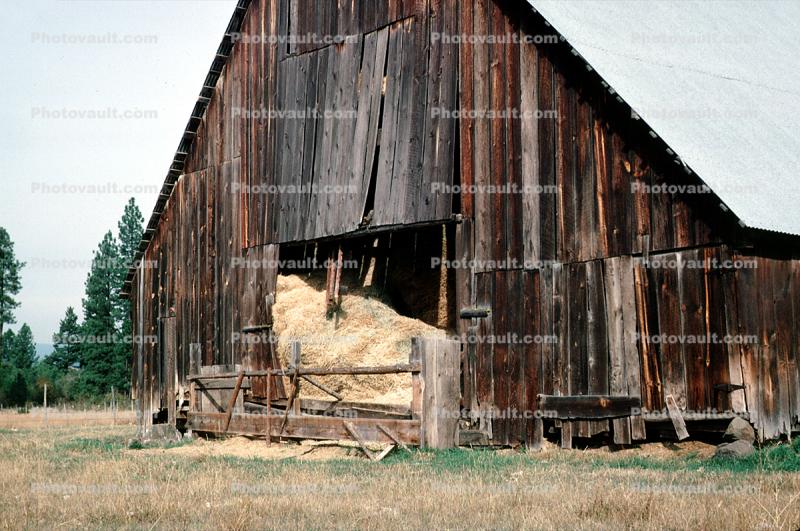 Wooden Barn, Hay, old