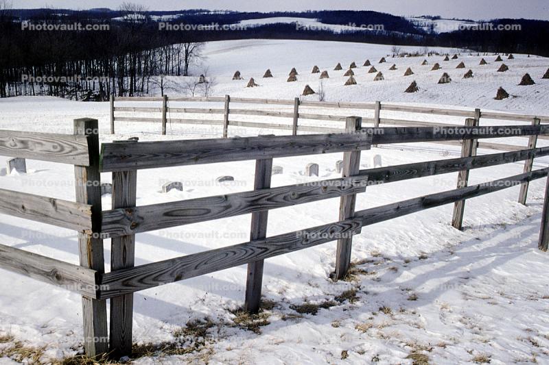 Fence in the Snow, Bundles of Hay