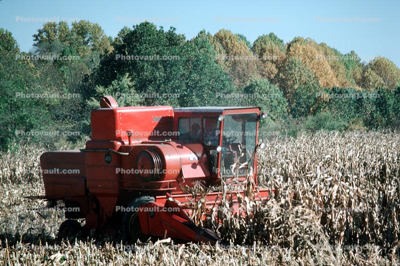 Massey-Fergeson 410 combine, harvester, harvesting corn