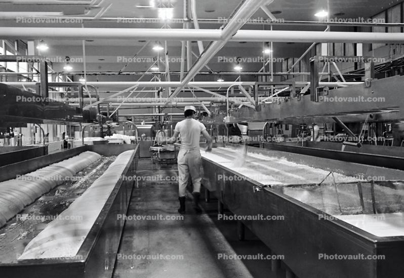 Tilamook Cheese Factory