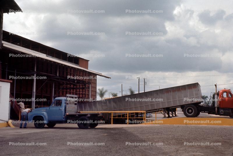 Unloading Semi, Donald Duck Orange Juice Processing Plant, Lake Wales, March 1969