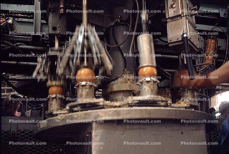 Automatic Orange Squeezer, Donald Duck Orange Juice Processing Plant, Lake Wales, March 1969, 1960s
