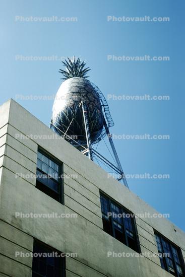 Big Pineapple, Water Tower