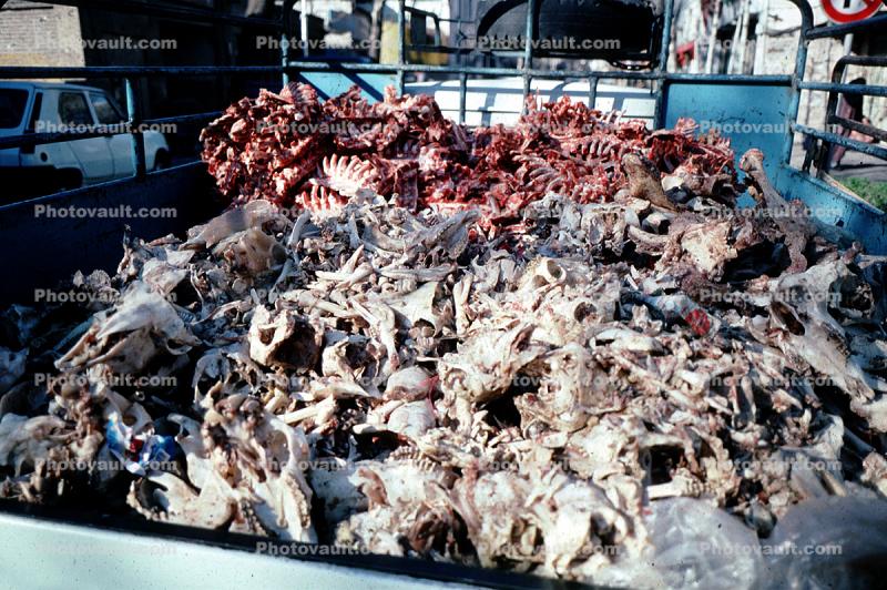Meat byproducts, bones, waste