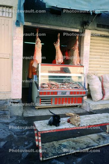 goat heads, Goat Slaughter, head, meat, killing, Algiers, Algeria