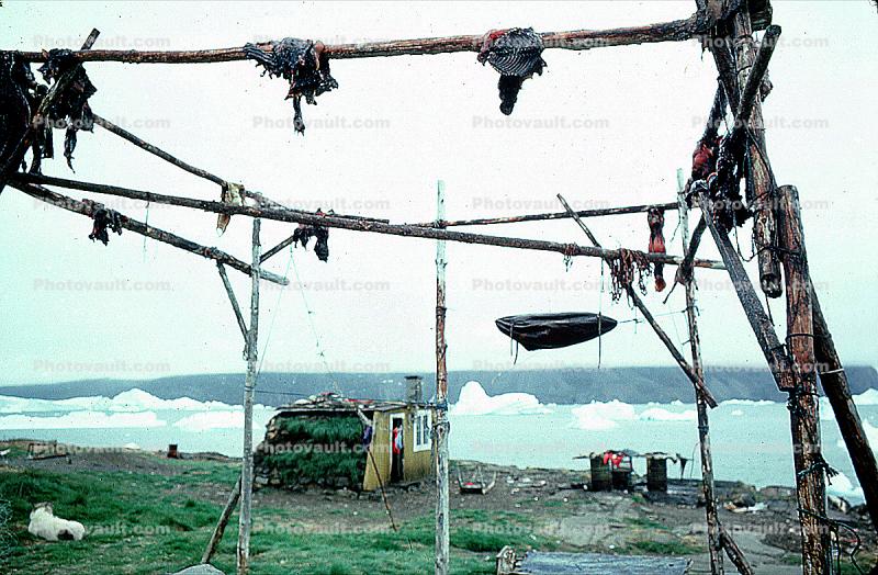 Fish Drying Racks, Greenland