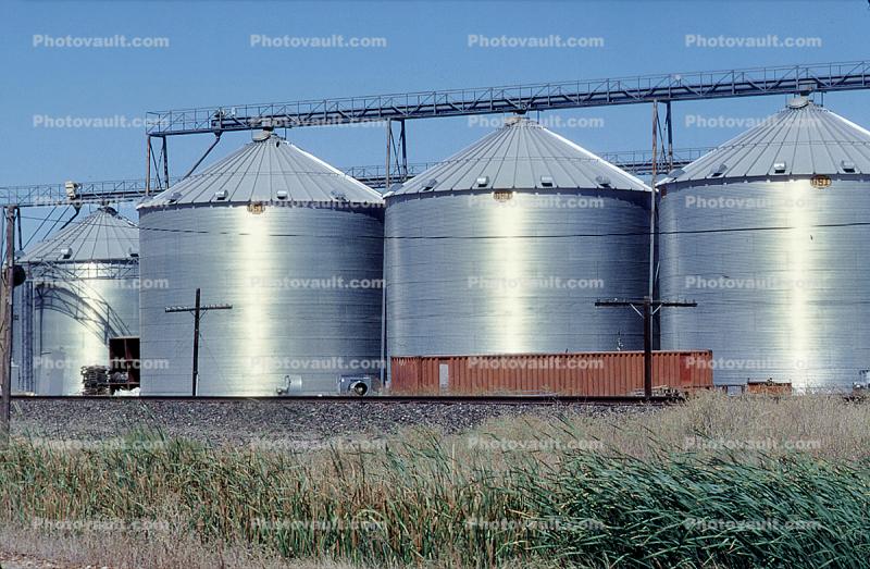 Grain Silos, Williams, California
