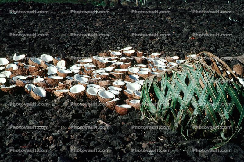 Coconuts, Samoa