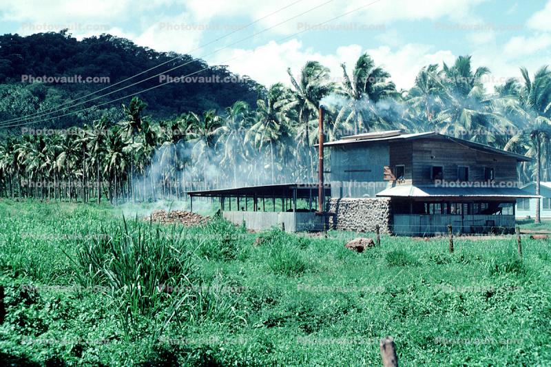 Palm Trees, grass, building, smoke, Samoa