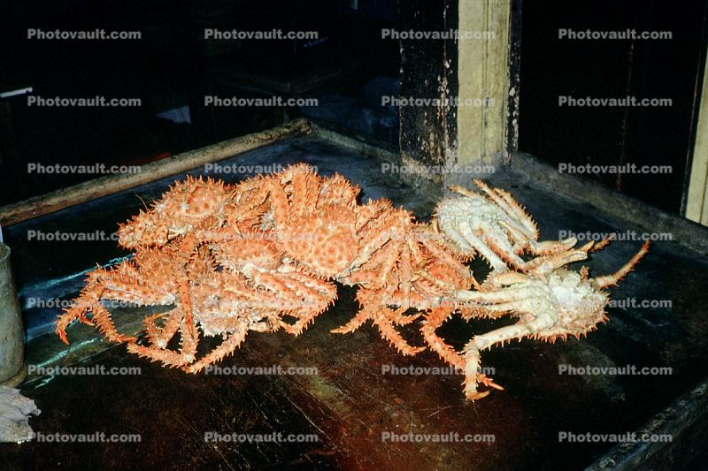 Chile, King Crabs, Seafood, Shellfish, Grill, BBQ, Barbecue