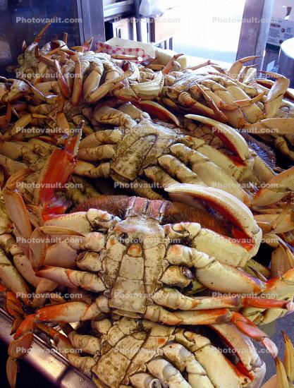 Cooked Dungeness Crabs, steamed, seafood, shellfish