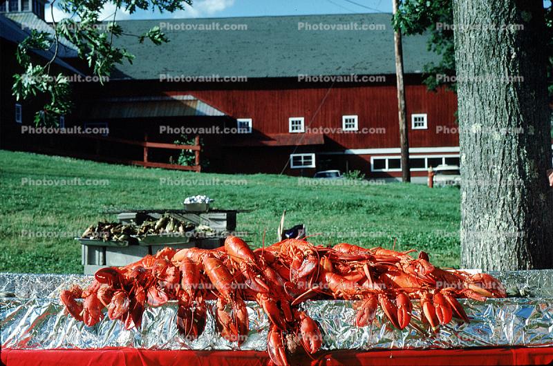 Lobster Buffett, Burklyn Hall, Burke, Vermont, 28 July 1978