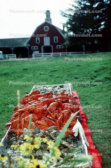Lobster Buffett, Burklyn Hall in Burke, Vermont, Burklyn Hall, Burke, 28 July 1978
