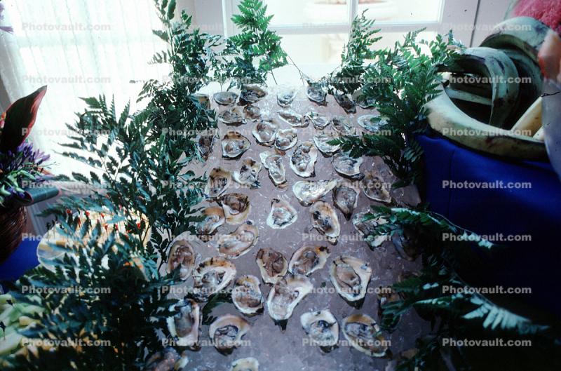 Raw Oysters, Seafood