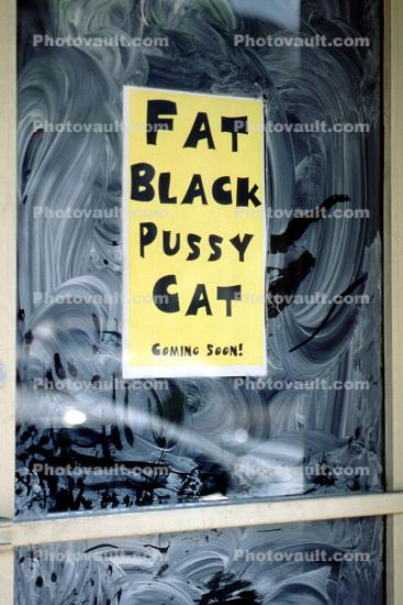 Far Black Pussy Cat window, Miami Beach, Florida
