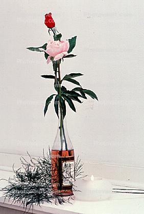 Wine and Roses, Bottle