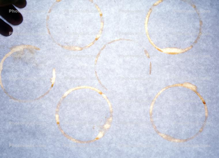 Coffee Stains, ring, circle