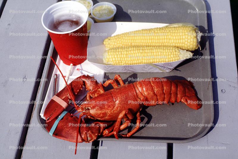 Lobster, Corn on the Cob, seafood, shellfish, beer
