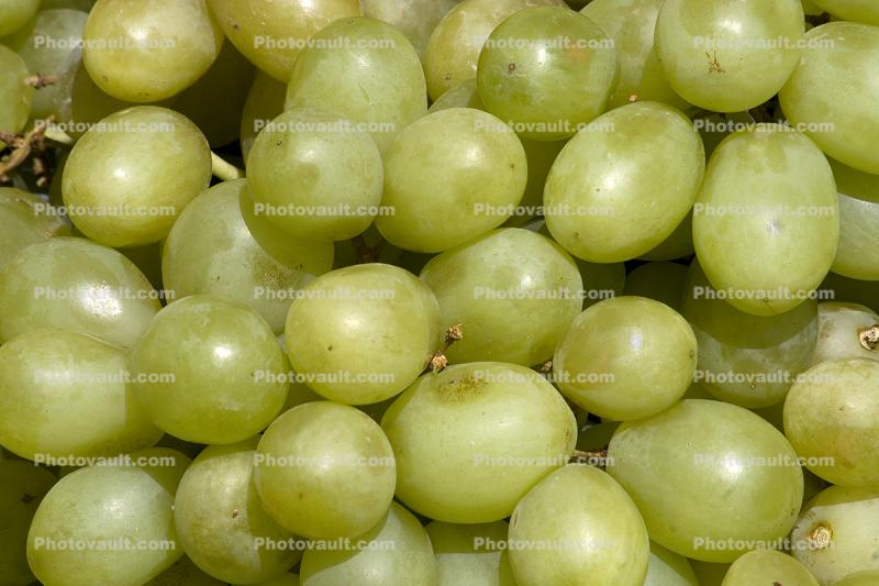 Grapes, texture, background