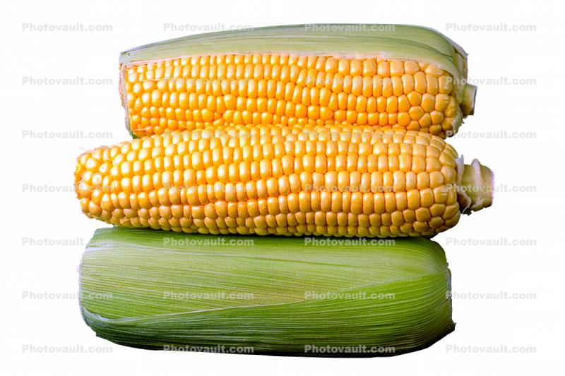 Corn photo-object, object, cut-out, cutout