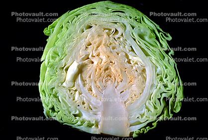 Ccabbage Half