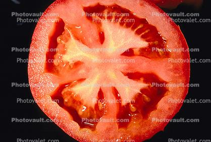 Tomato Half Seeds, wet, juicy