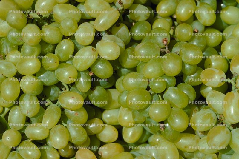 grape, texture, background