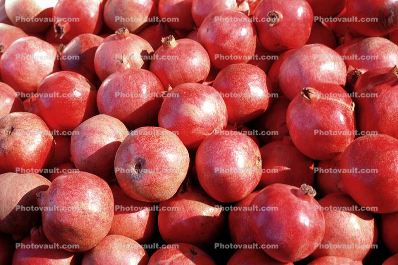 pomegranate, texture, background