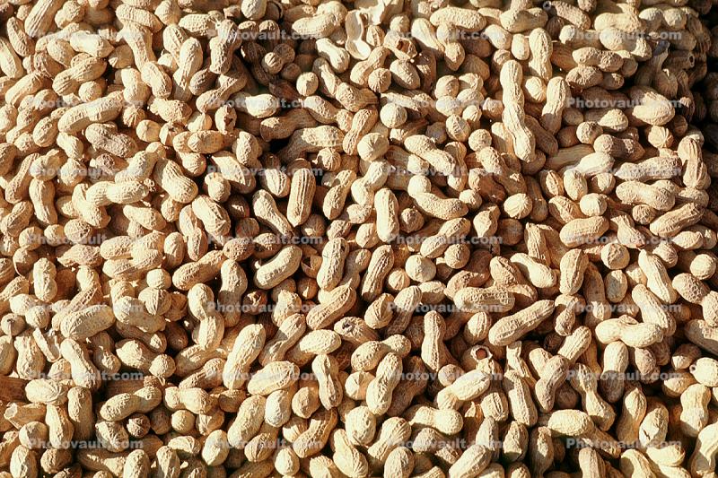 pistachio nuts, texture, background