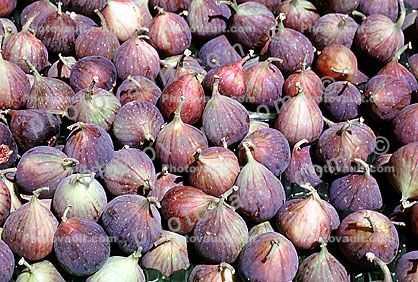 Purple figs, texture, background