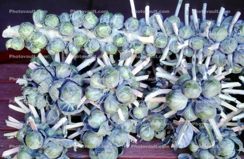 Brussels Sprouts, texture, background