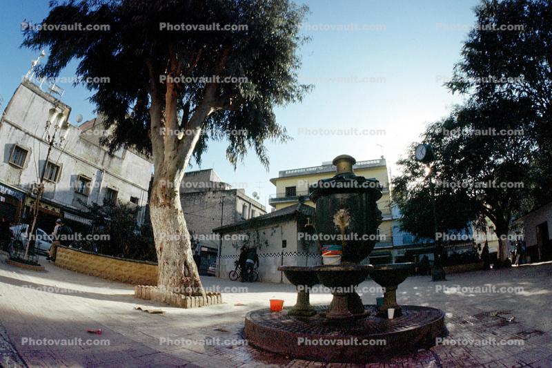 Town, Water Fountain, aquatics, buildings, tree, Algiers, Algeria