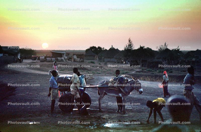 donkey, cart, water tank, Refugee Camp, Somalia