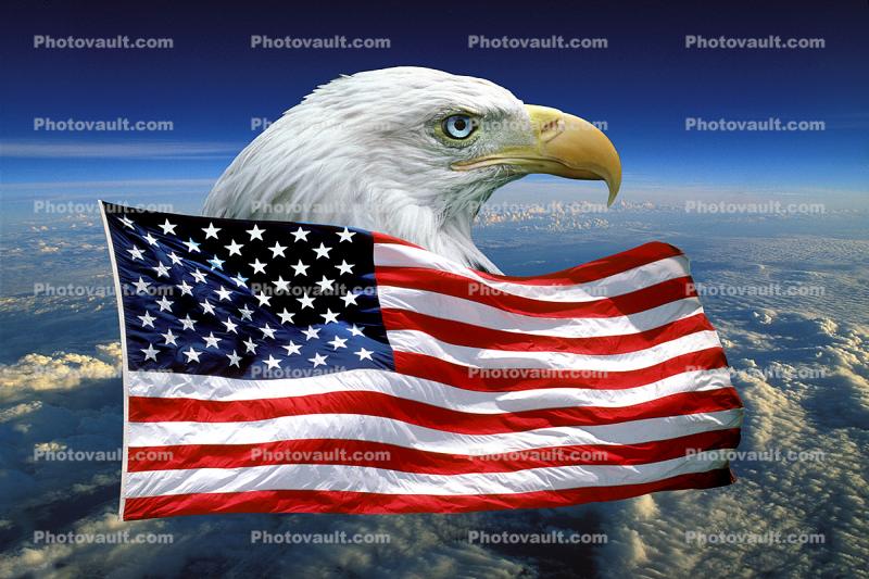 Eagle and Old Glory, Old Glory, USA, United States of America, Star Spangled Banner