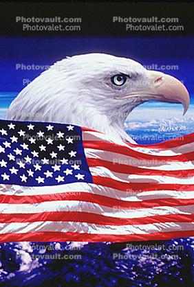 Eagle and Old Glory, Old Glory, USA, United States of America, Star Spangled Banner