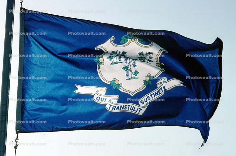Connecticut, State Flag, USA, Fifty State Flags
